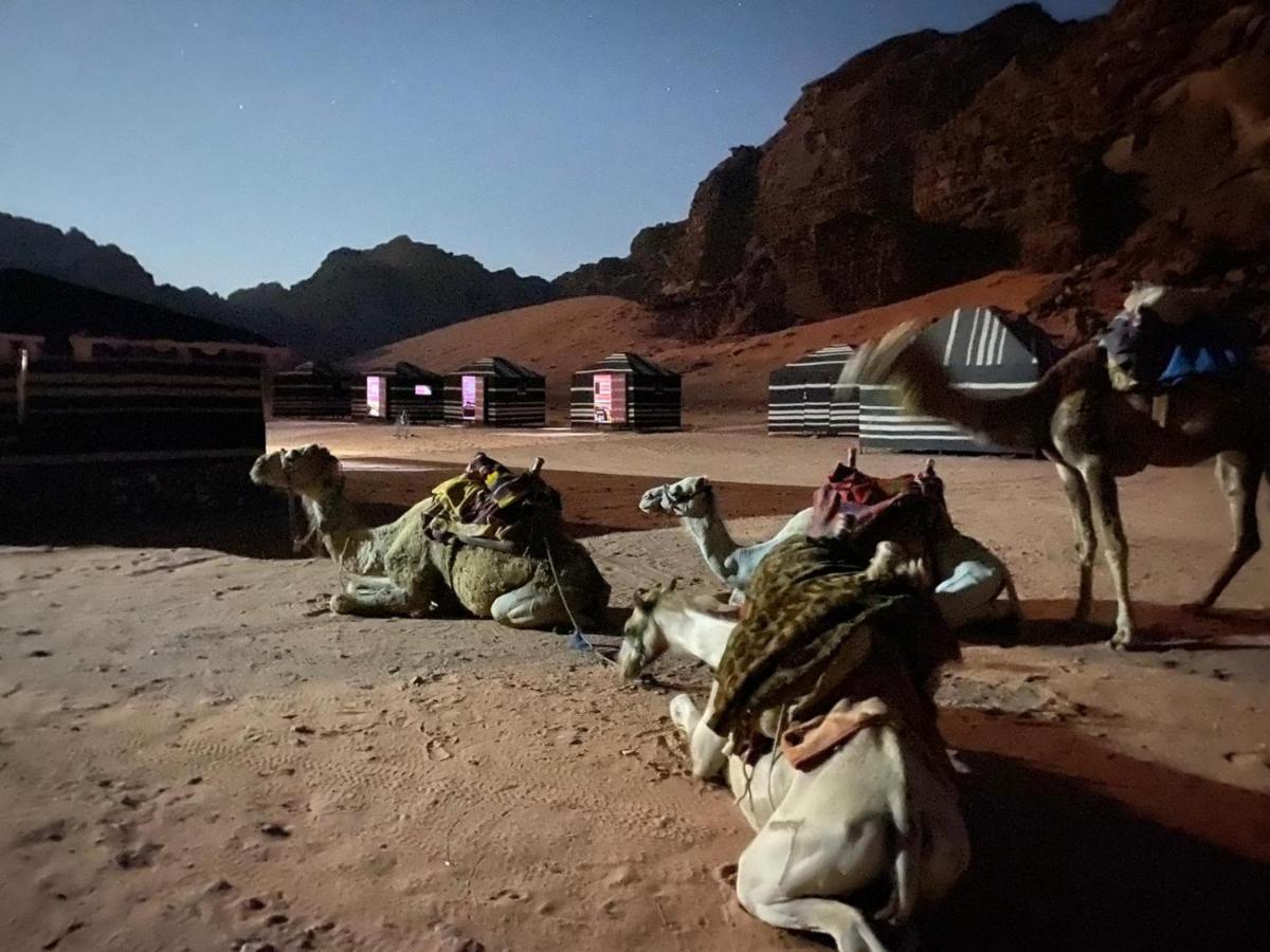 Wadi Rum Bedouin Experience Including Dinner And Breakfast المظهر الخارجي الصورة